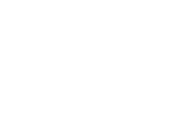 platin_2_sponsor_buton-e1693982872613_