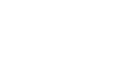 Bronz_sponsor_NETA_buton